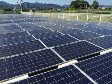 中古スマホ+神プラン→カメラで太陽光発電所の雑草の成長具合を確認：新星電気株式会社　様