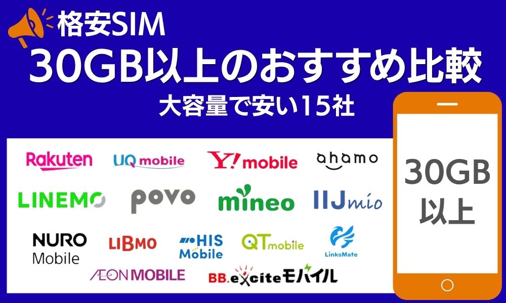 格安SIM 30GB以上