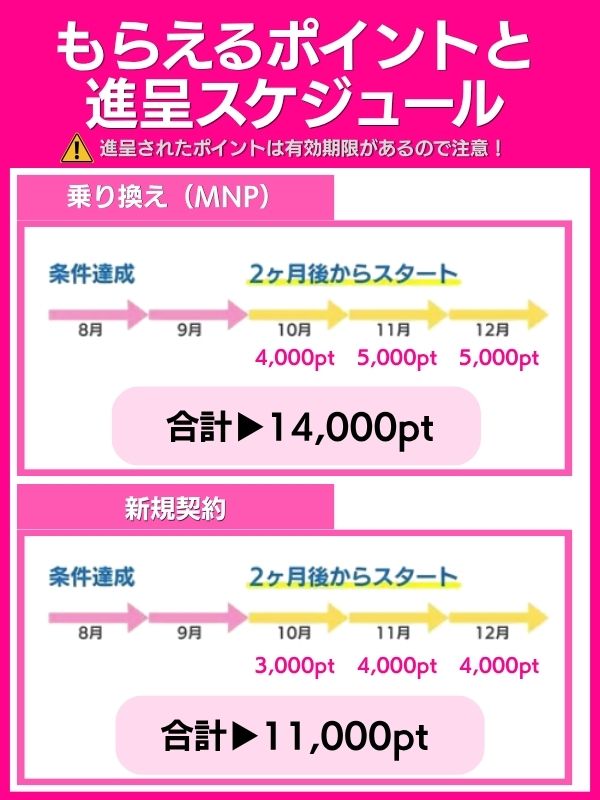 もらえるポイントと進呈スケジュール・確認方法