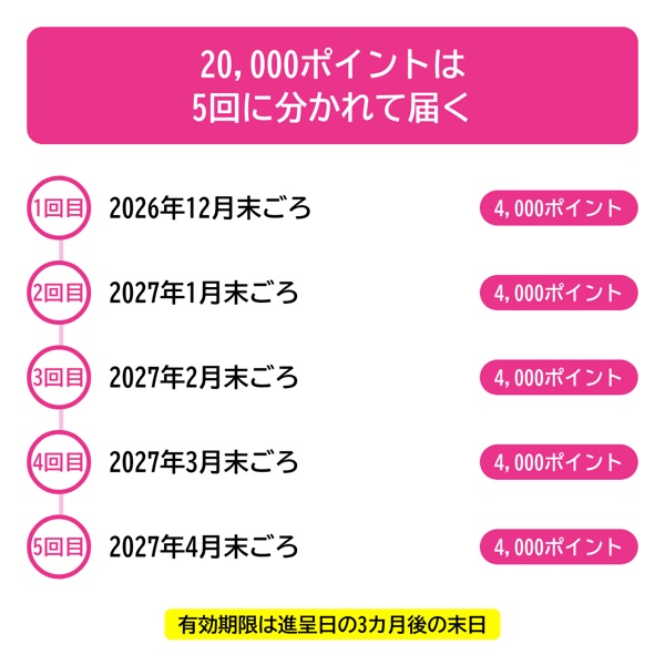 20,000ポイントが5回に分かれて進呈されるスケジュール図