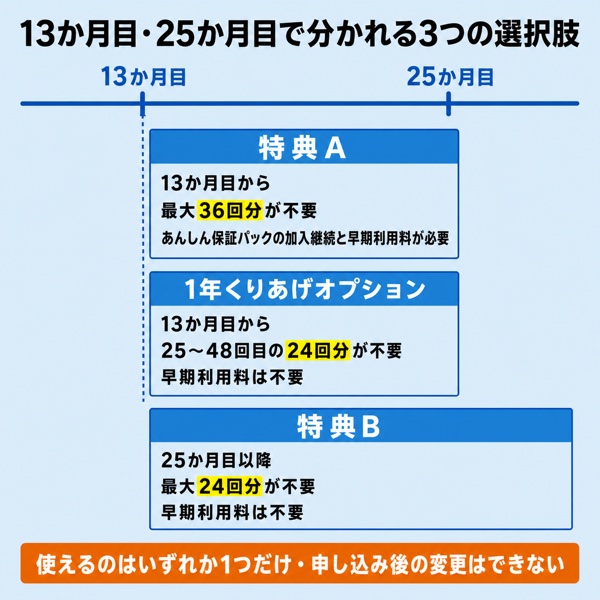 13か月目・25か月目の3つの選択肢を時系列で示した図